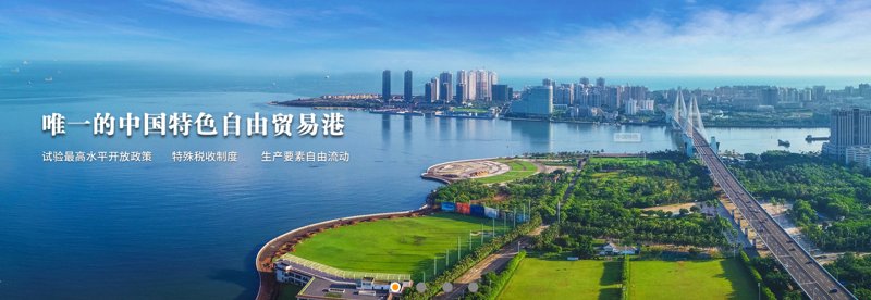 儋州投资公司的崛起:实战攻略